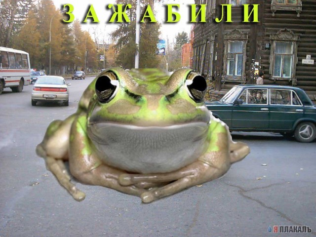 Фотожаба: Гонщик