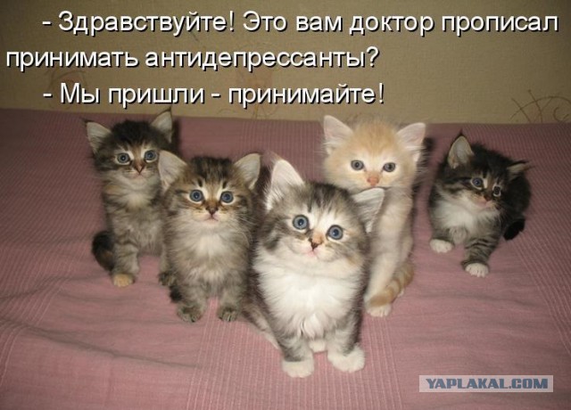 Новая девушка Криштиану Роналду. Ну не верю!