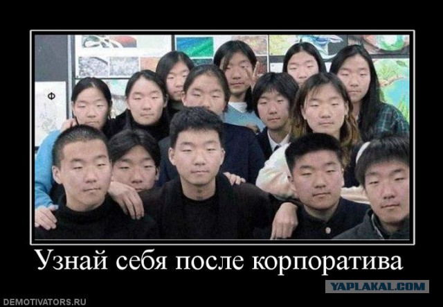 Решили посетить новогодний корпоратив? Одумайтесь, глупцы!