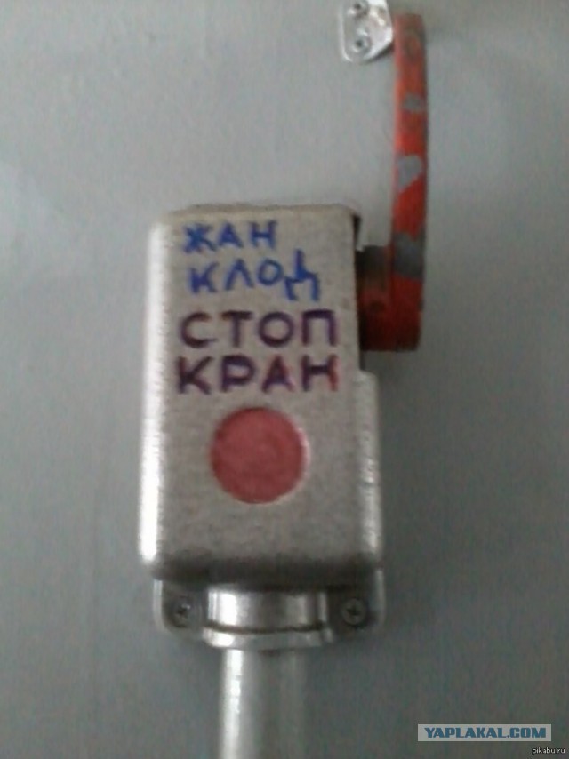 Редкие фото Жан-Клода Ван Дамма