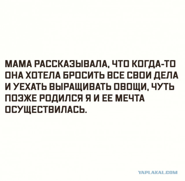 Тёмный юмор к этим выходным