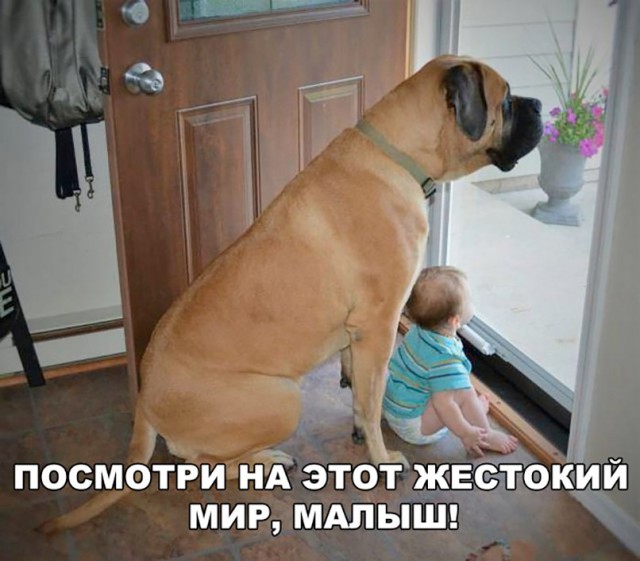 Подборка интересных и веселых картинок