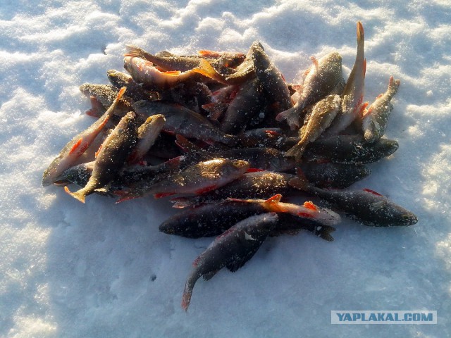 Закрытие сезона. Рыбалка