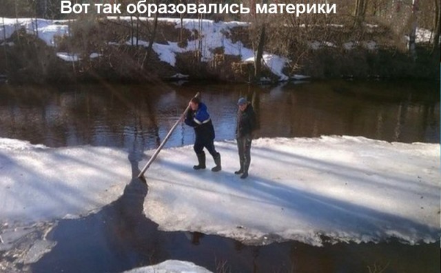 Подборка картинок. Забавных, веселых - разных