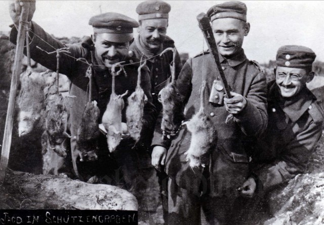 Про крыс