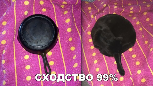 Нестандартный юмор