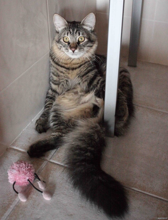 КОТовторник 13.04.2010г.