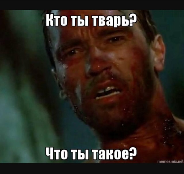 Wargaming 54