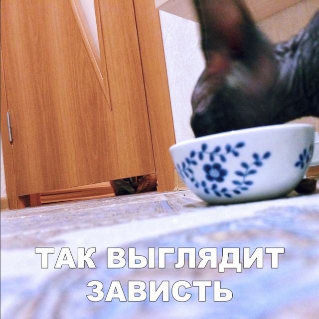 Нестандартный юмор