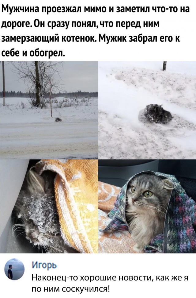 Немного милоты