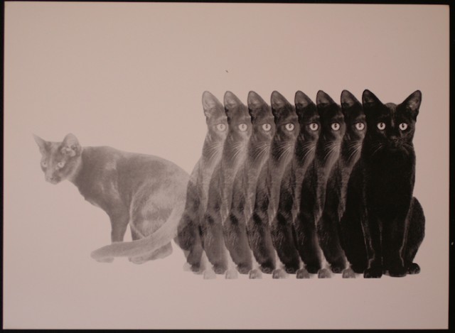 Винтажные кошки (47 фот)
