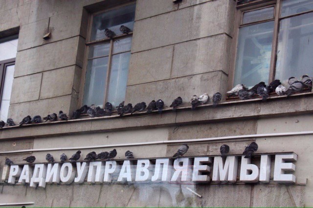 Милые животные. Мимиметр сломался