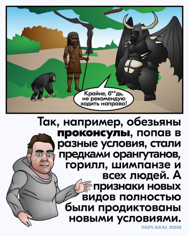 Реальность гораздо интереснее…