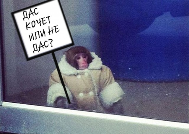 Вот с*ка! Бросил пить и ушёл к другой
