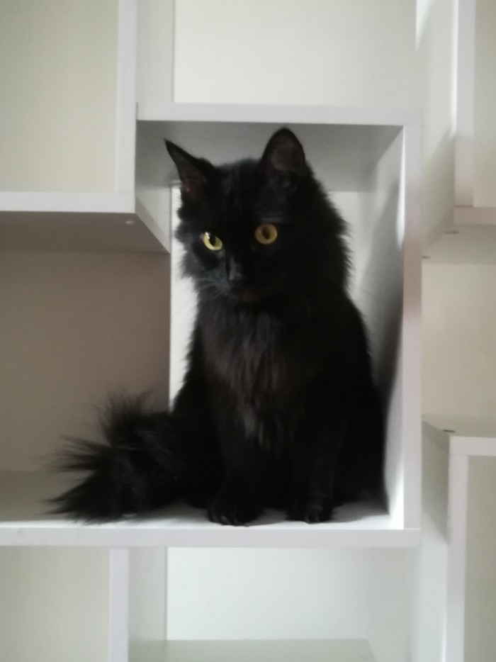 Paзнoвиднocти тьмы