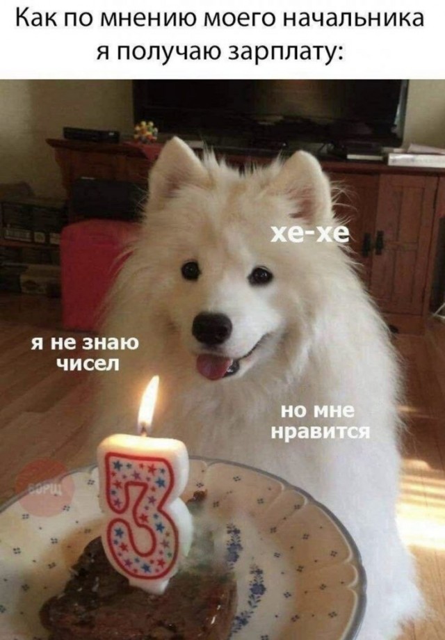 Немного картинок для настроения 27.01.20