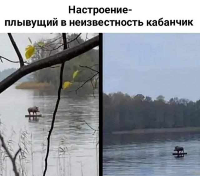 Бредзона 12.11.2020