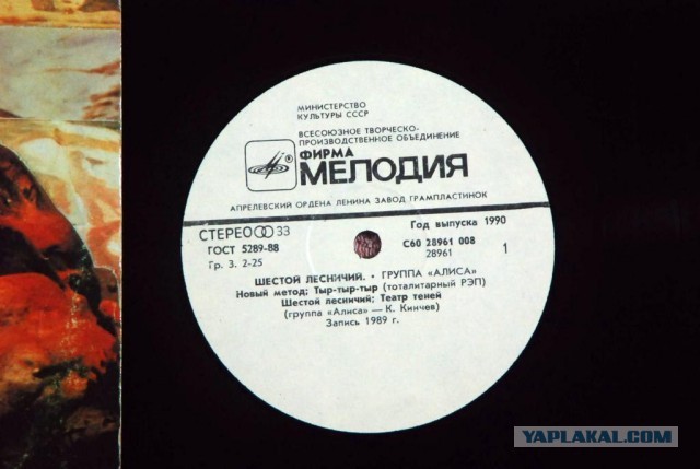 Расчехляем гладильники! - норвежский лесной уже тут