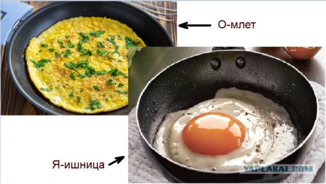 Весёлый полтишок 5.05