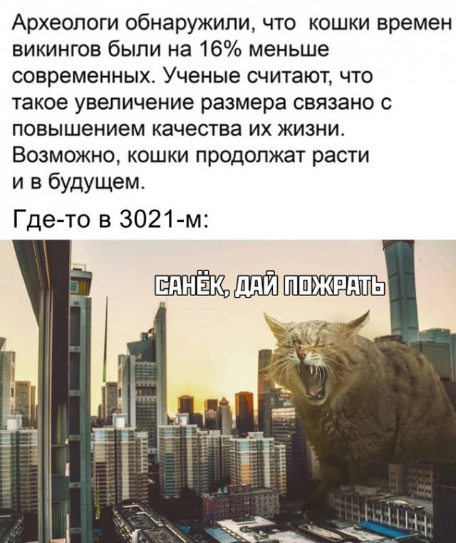 Весёлый полтишок 21.06.2021
