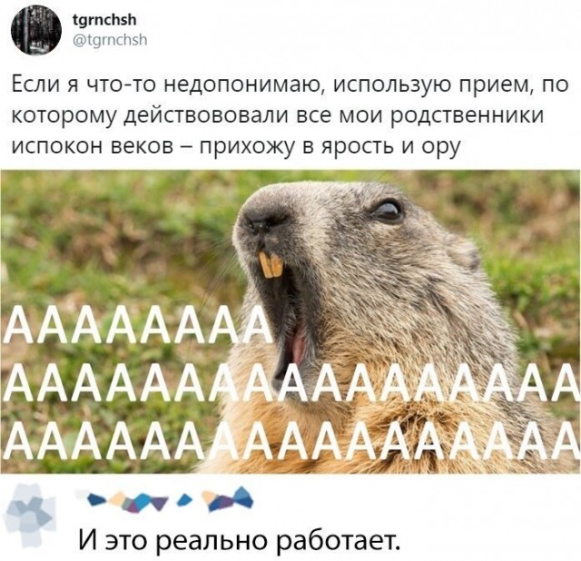 Так себе картинки 18.09.21