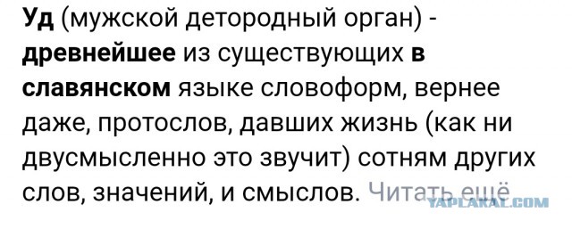 Какой парфюм носим