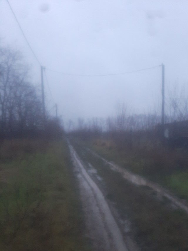 Первое января глазами непьющего человека