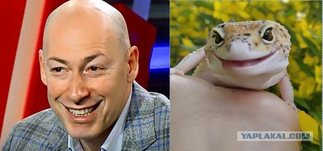Гондон в своем репертуаре