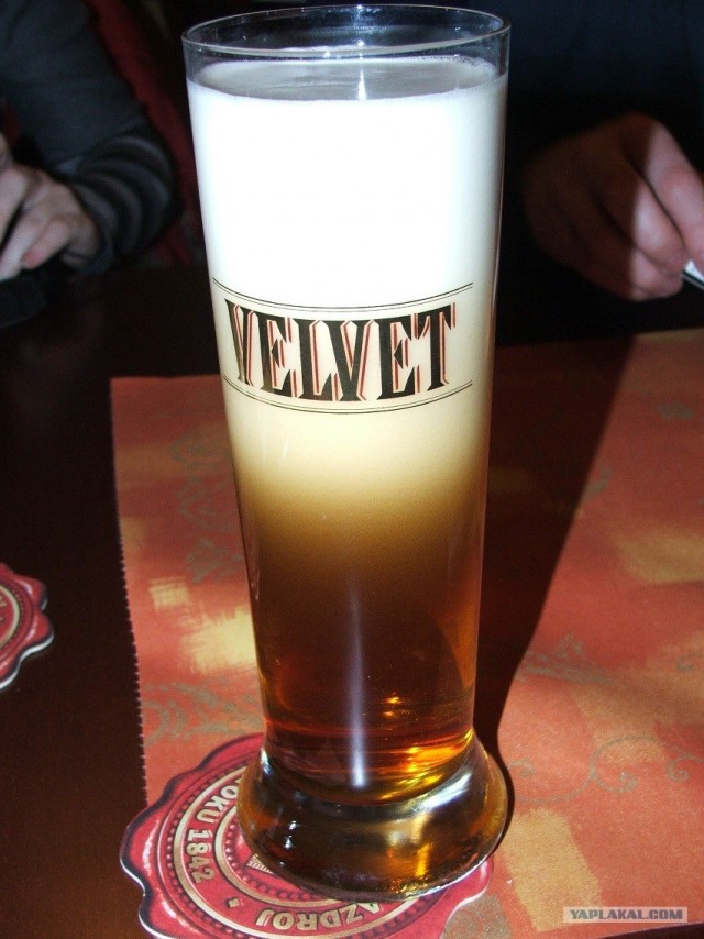 Пивная Прага