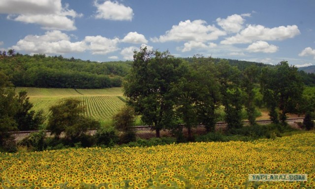 И целого мира мало!