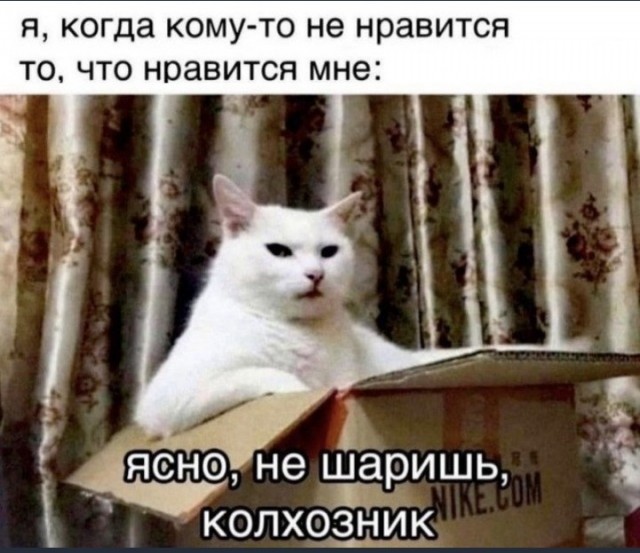 Так себе картинки 01.10.22