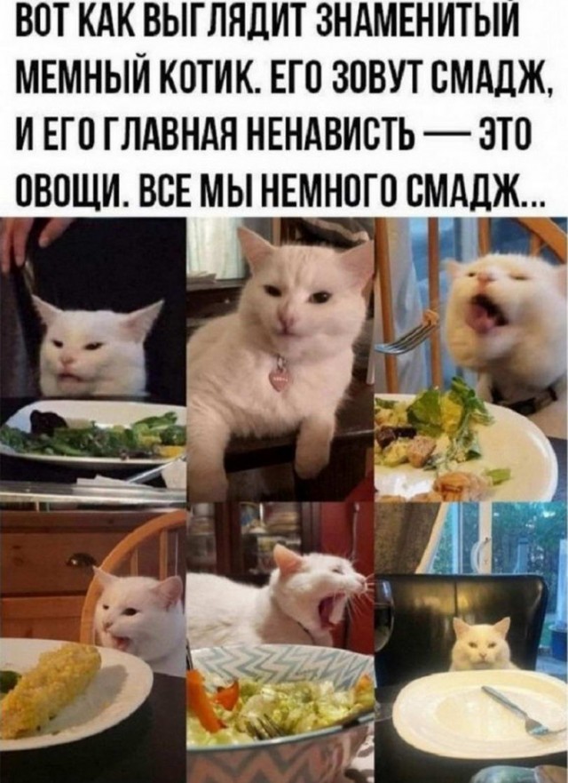Картинки и мемы, всем хороших выходных