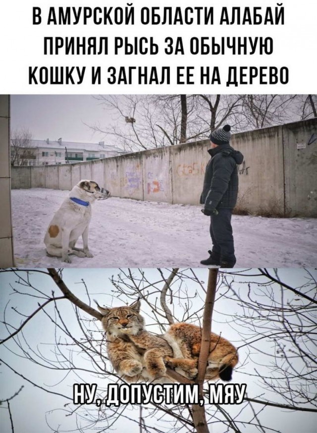 Немного картинок для настроения - 135