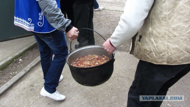 Крым в феврале или "Не стреляйте в белых лебедей!"