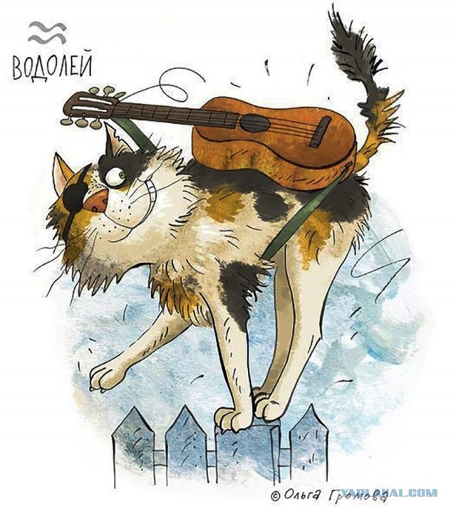 Как быть мужьям, чьи жены - "непьющие алкоголички"?⁠⁠