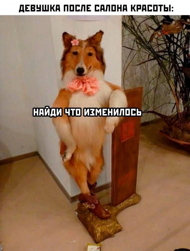 Новый президент Аргентины