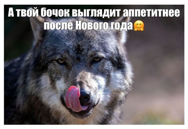 Отряд быстрого деградирования