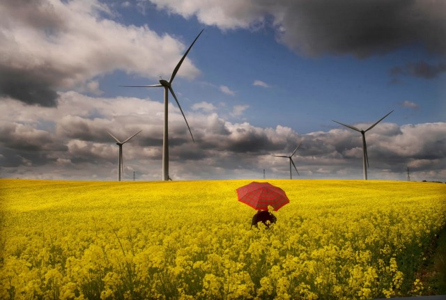 Подборка интересных и веселых картинок 13.02.24