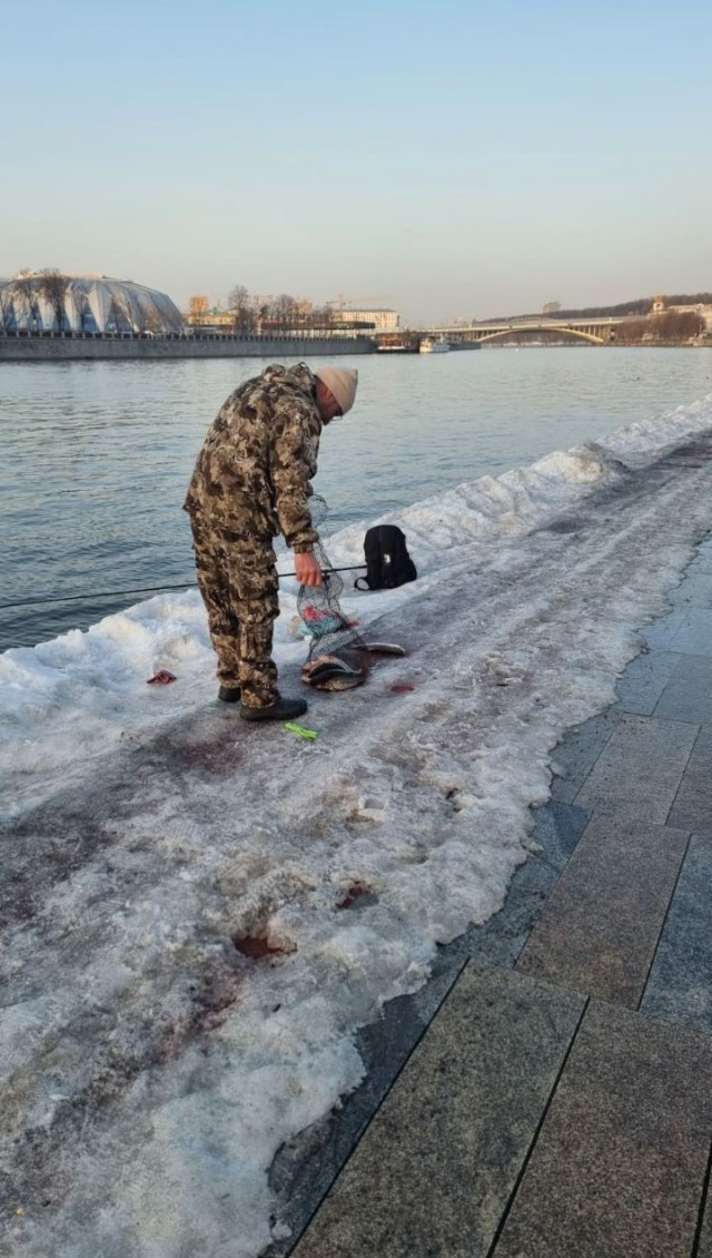 Не клюёт чота...