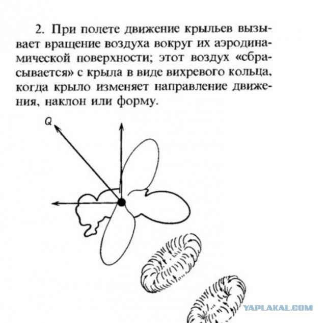 Подъёмная сила шмеля