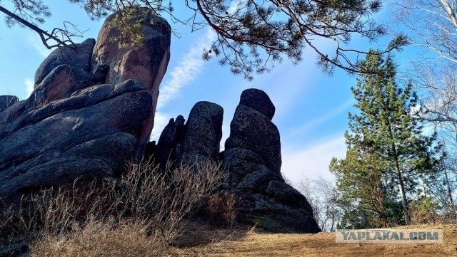 Съездили в Красноярск на майские