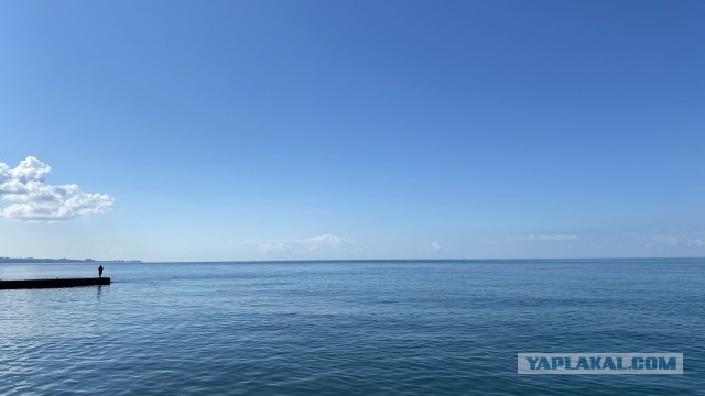 Вода теплая: стала жижей из водорослей, медуз, тел и ротавируса — народ делится впечатлениями о Черном море