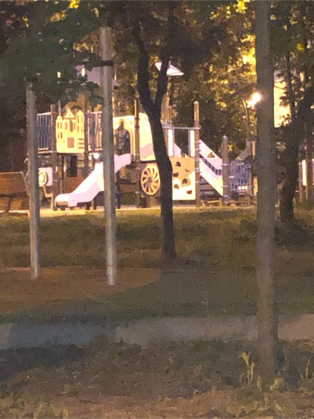Липецкий губернатор во время прогулки по городу пожал руку мужчине с коловратом на плече