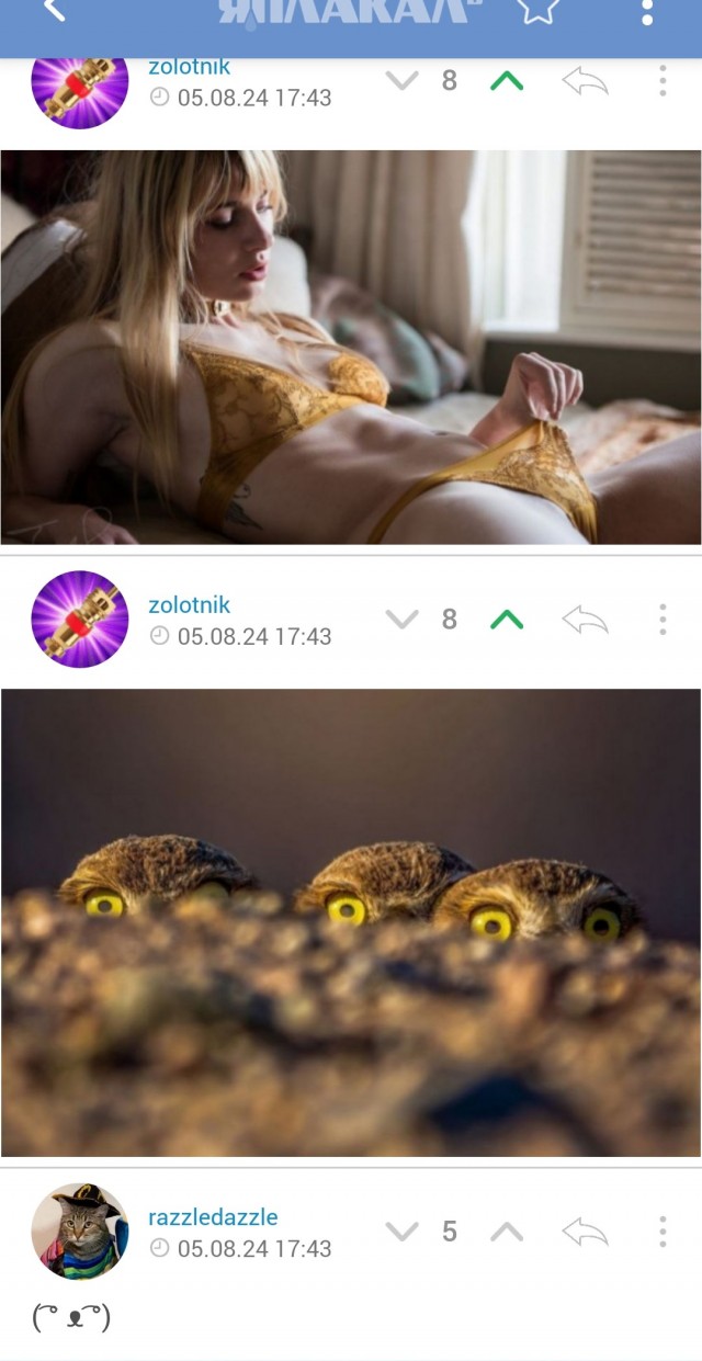 ФотоВинегрет