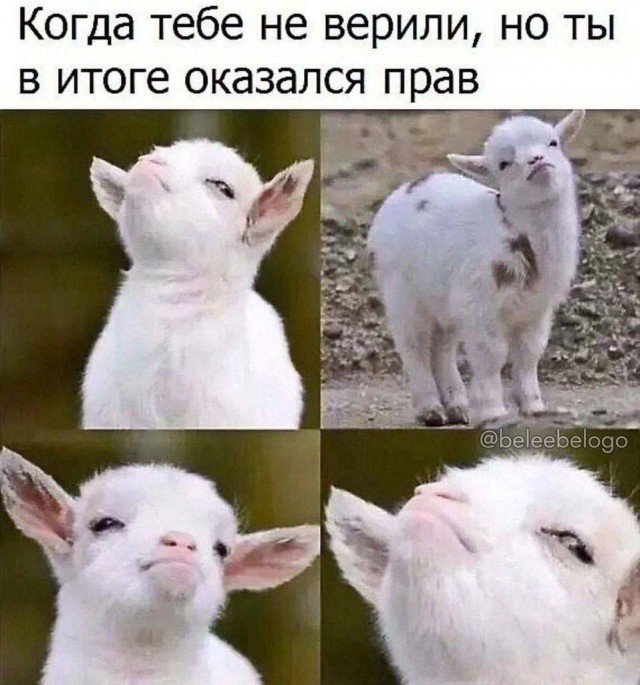 Всего понемногу. От 01.03.2025