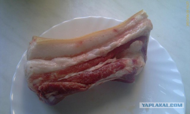 Интересные факты о сале