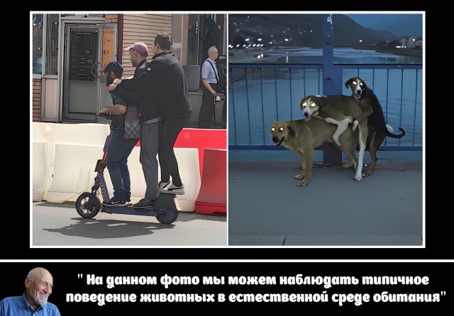 Так себе картинки 01.07.25