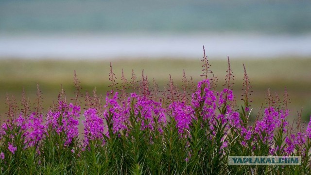 И так с 14.00 сижу