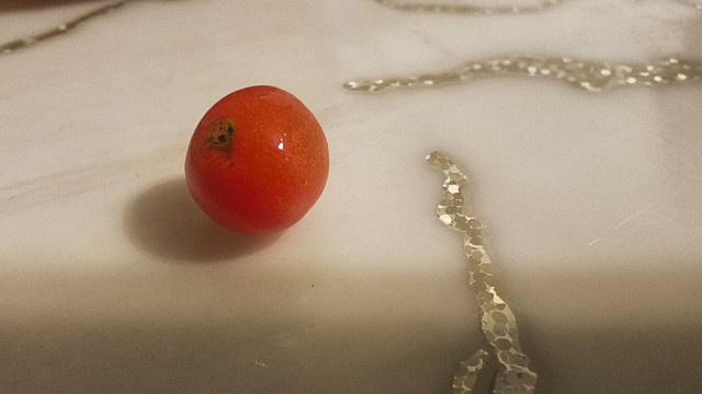 Урожай помидоров