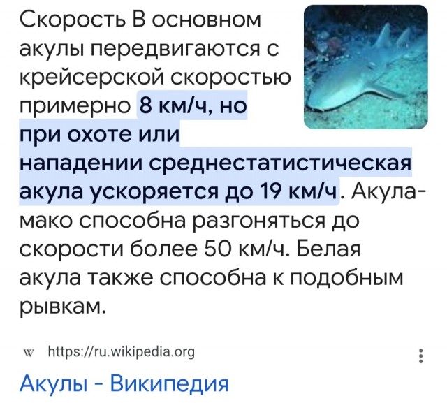Первый в мире подводный реактивный ранец